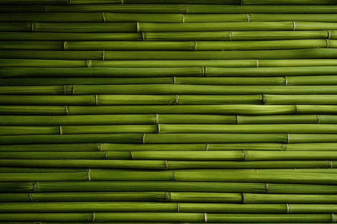 WHY BAMBOO?